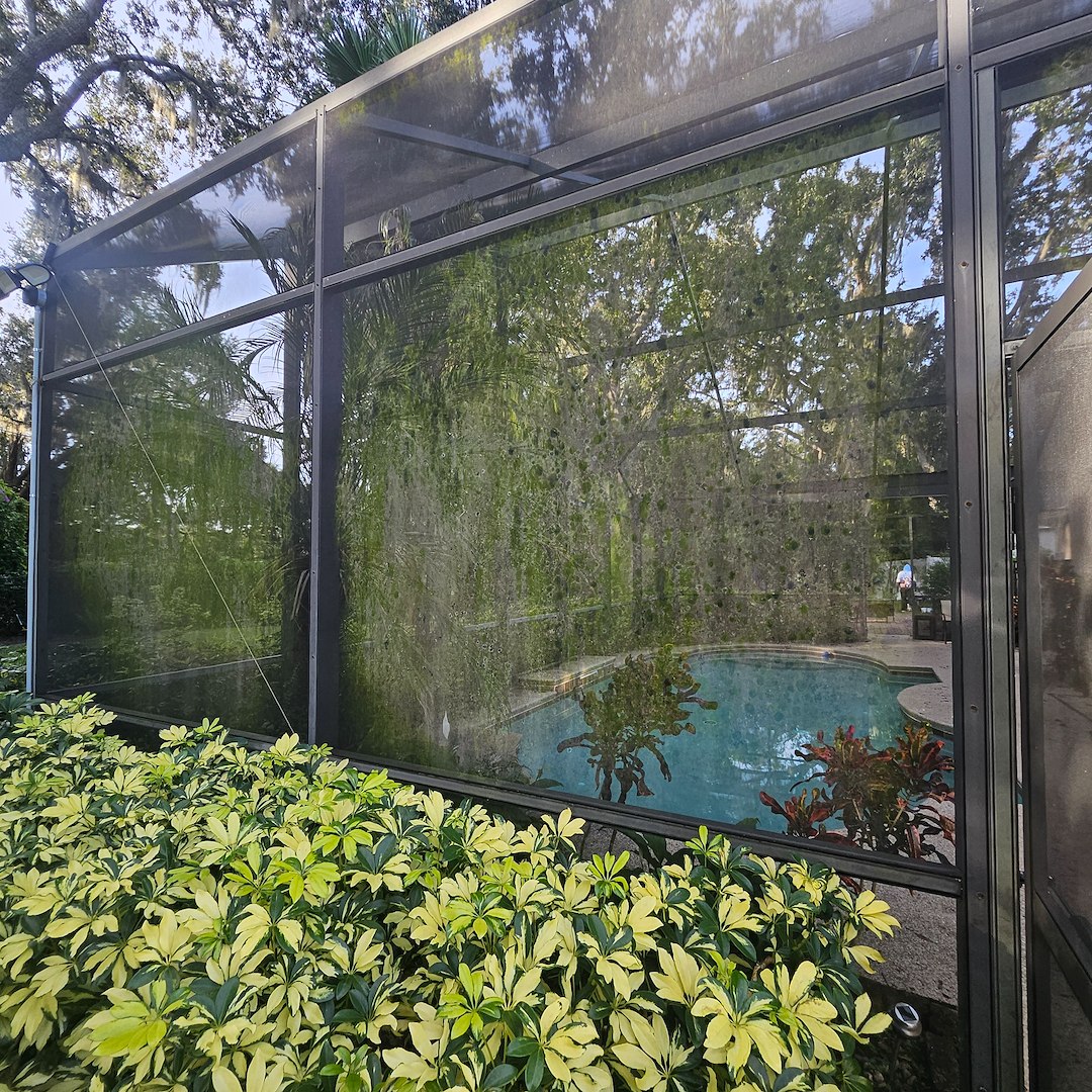 Mount Dora (Park Place) transformation 