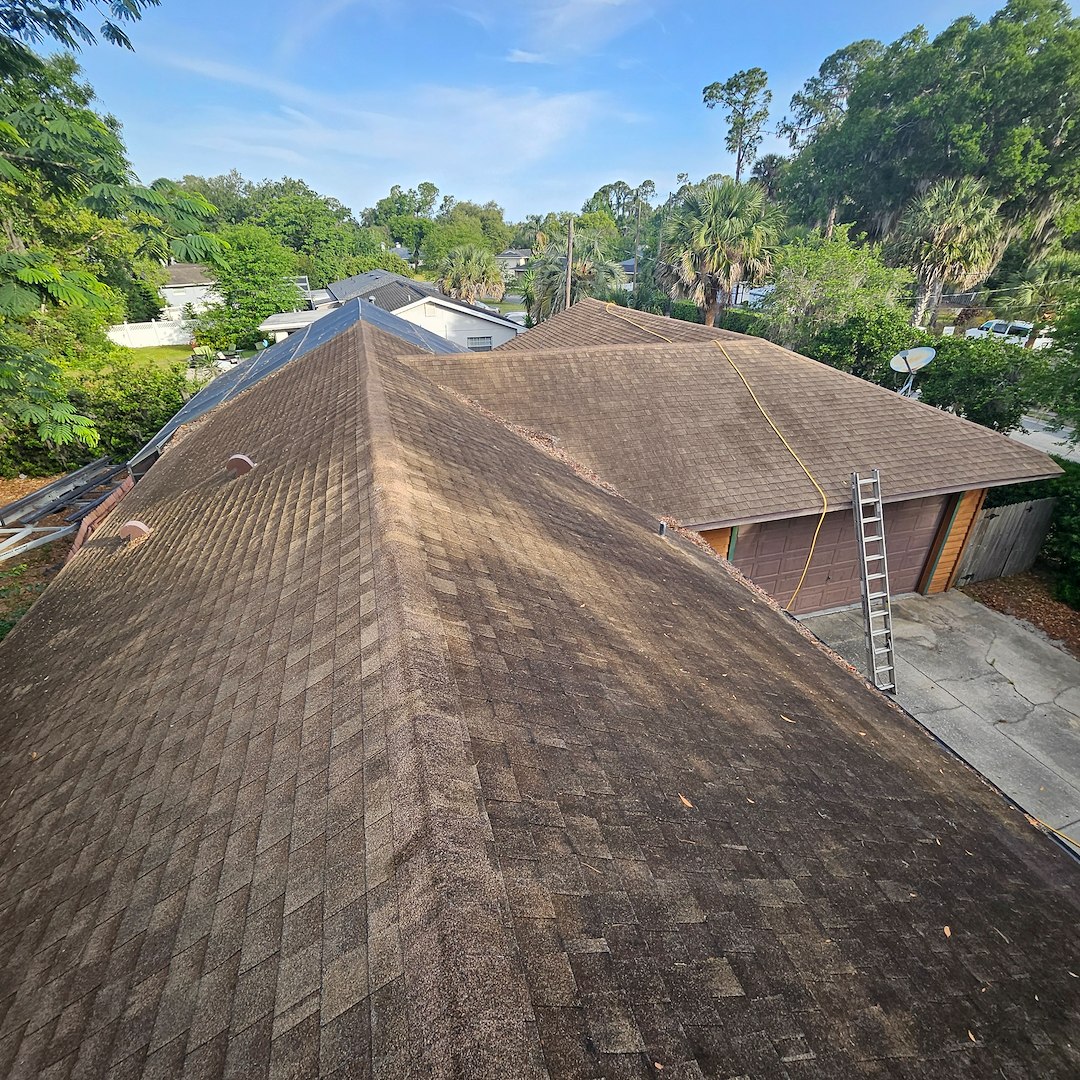 Top Quality Roof cleaning In Tavares Florida